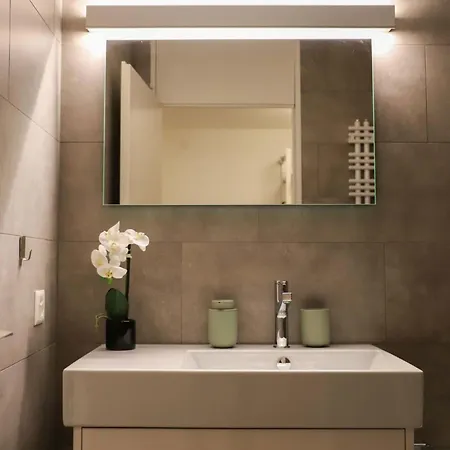 Allod Park Haus C 202 By Interhome Appartement Davos