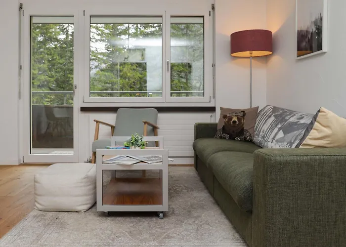 Allod Park Haus C 202 By Interhome Appartement Davos